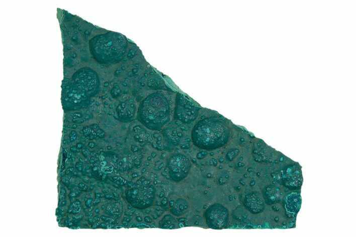 Teal Botryoidal Chrysocolla and Malachite - Chile #310139